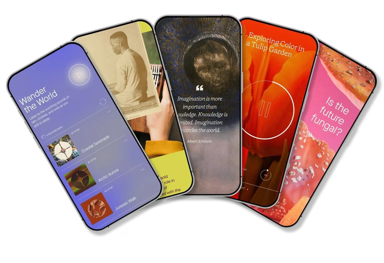 A fan of colorful Nelieca learning app screens